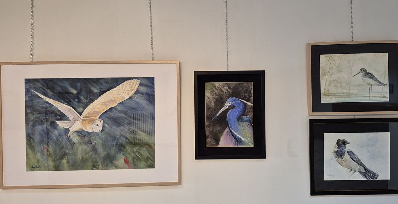 gallery_image